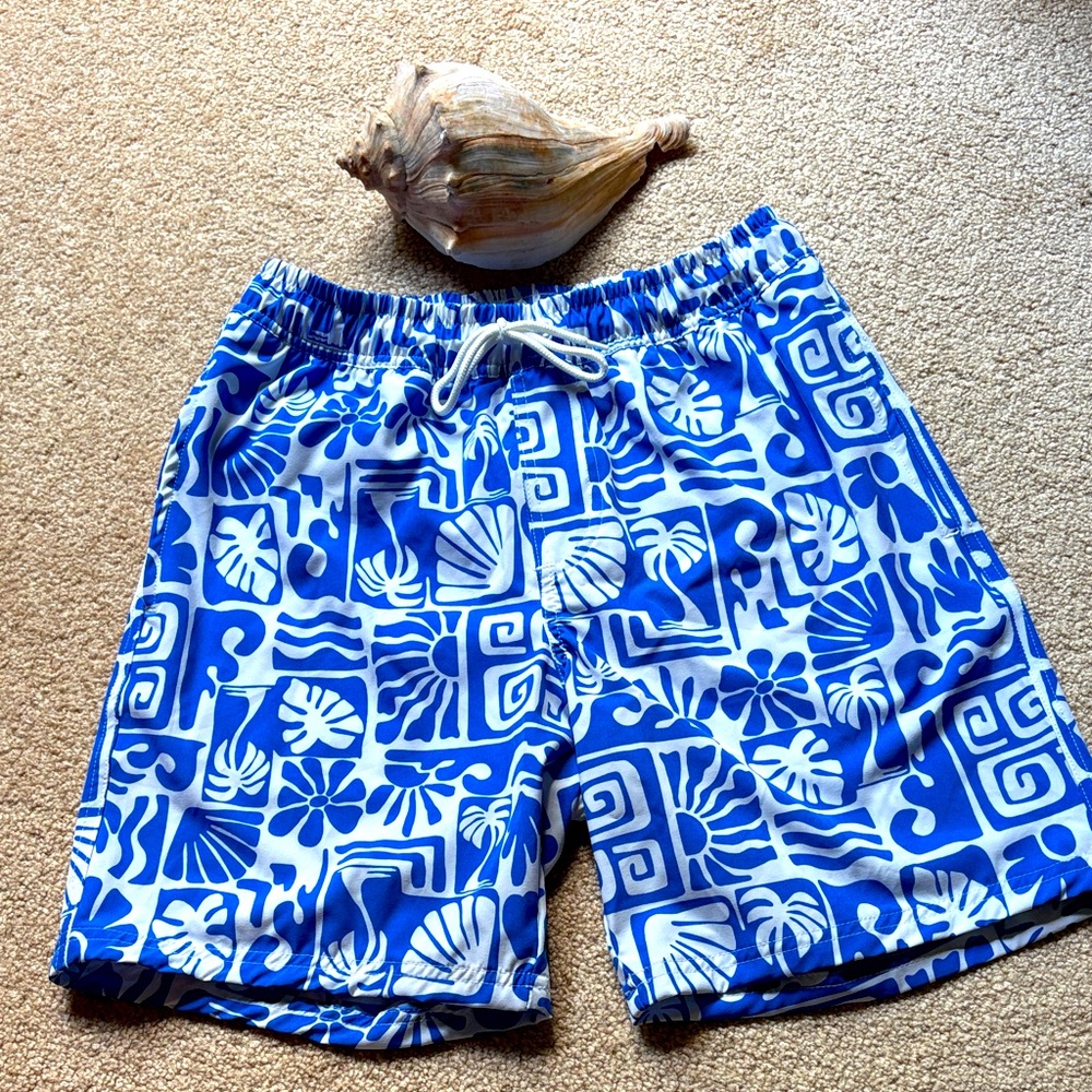 Men’s Swim Shorts Blue and White